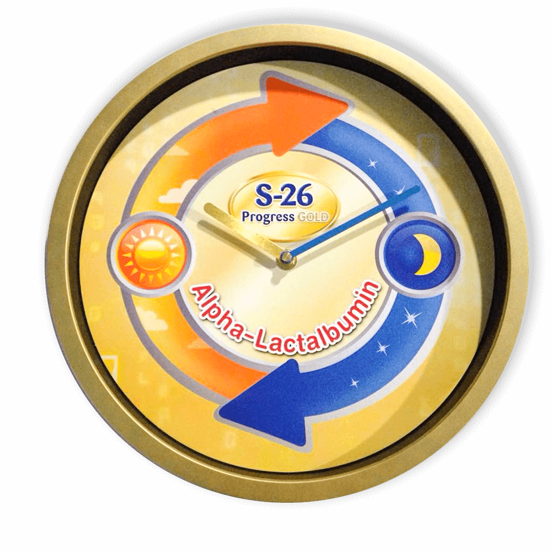 Nestle wall clock s26
